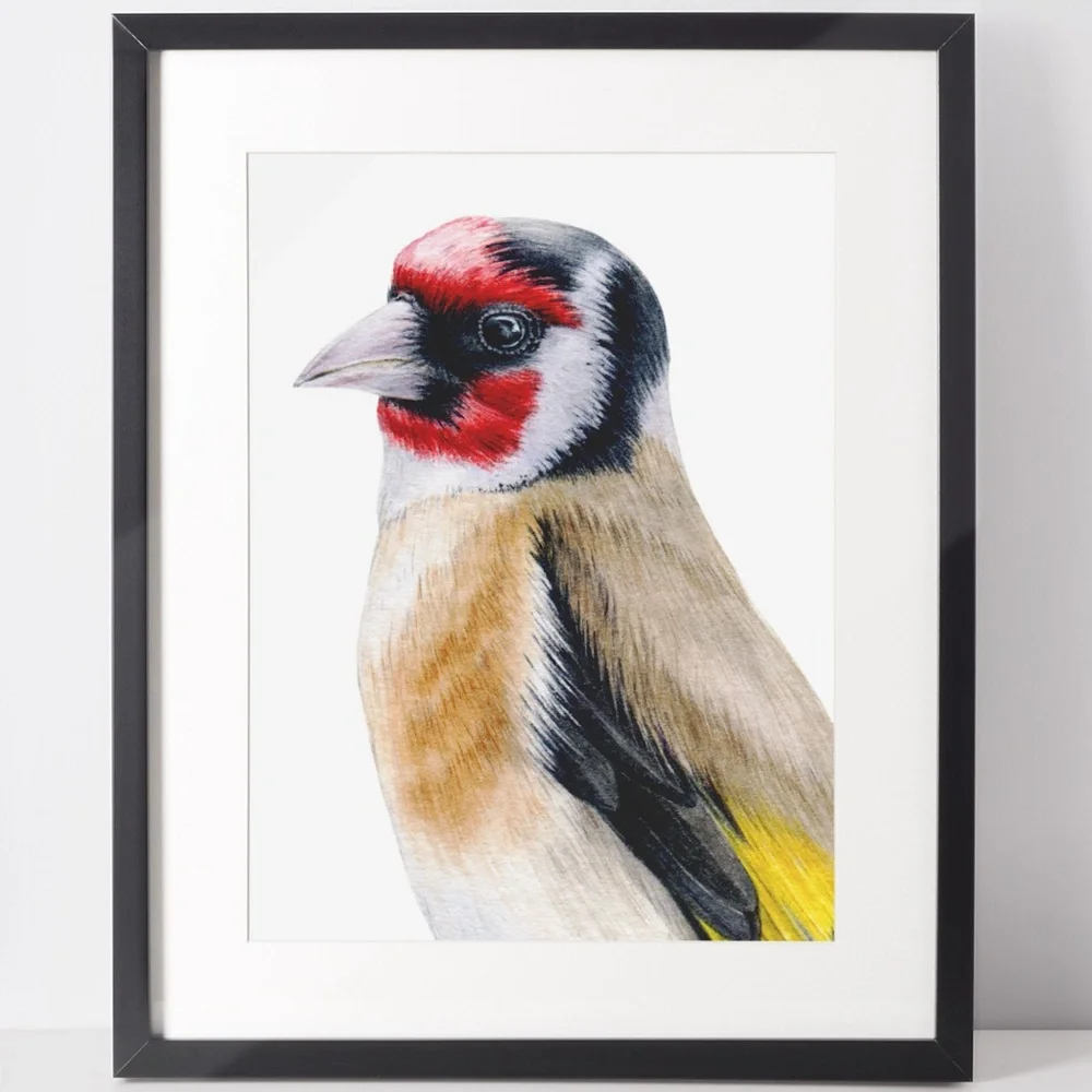 Watercolor Wall Art Goldfinch Bird Illustration Print Poster Unframed - Picture 2 of 9